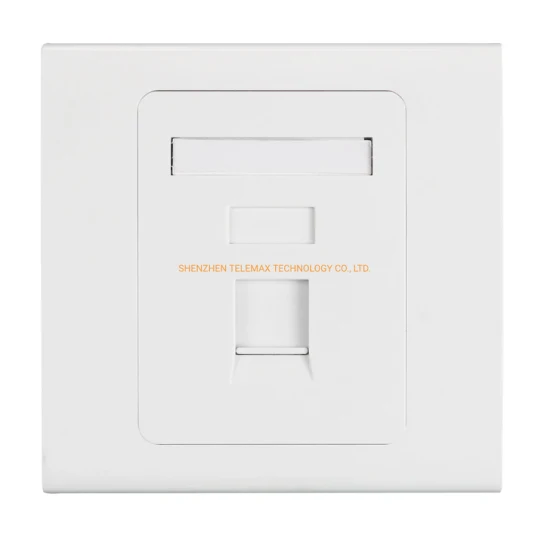 Faceplate Single 45 Degrees Inclined